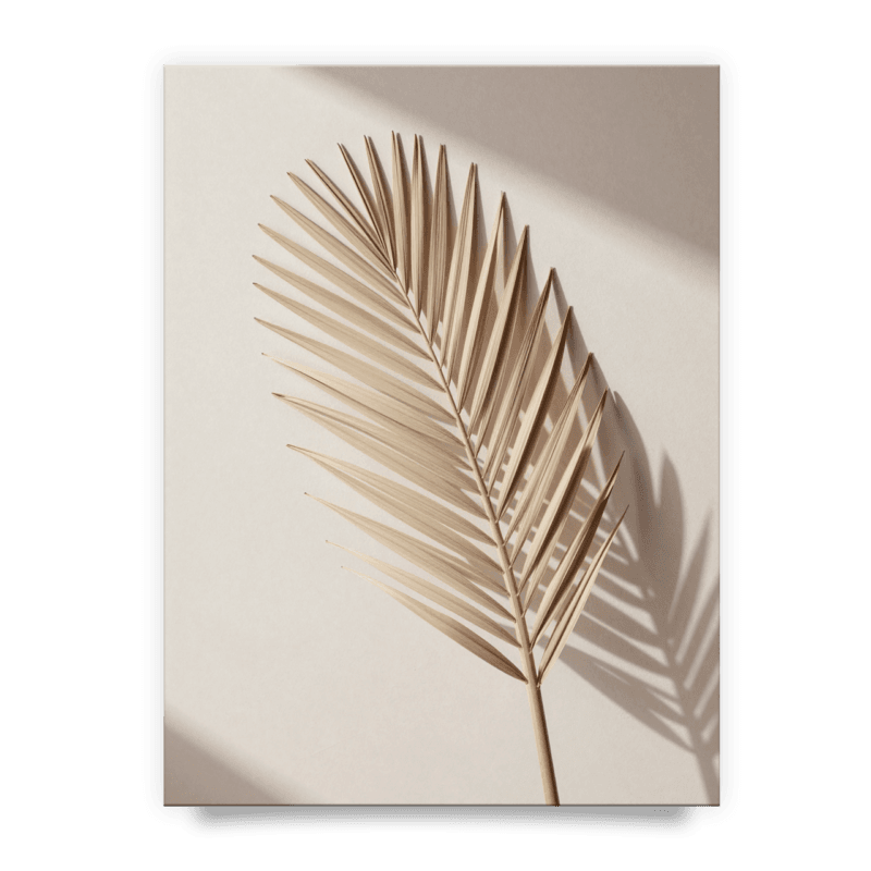 c376fd7b5b2e52a9f88f9183b4596687