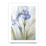 ec09c122b9cf114d8dedea5dc2780b24