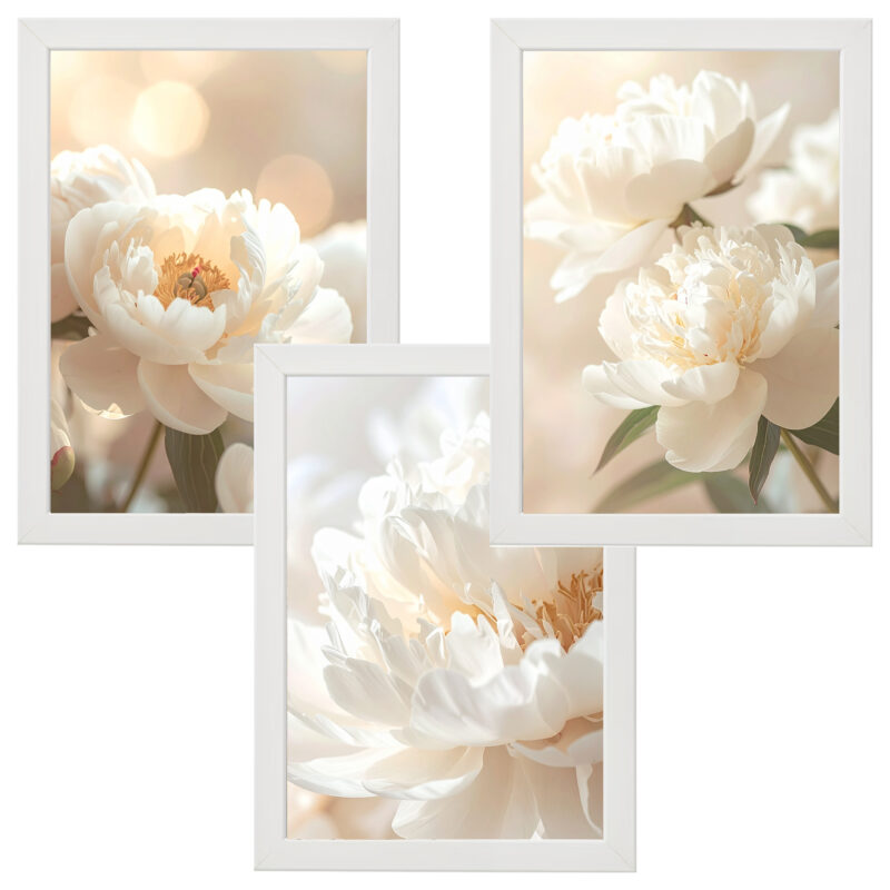 2912cd39a7c6f0f59eda1514222addd3