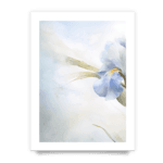 8fb60afa8640f1e13b3be78de594b6b6