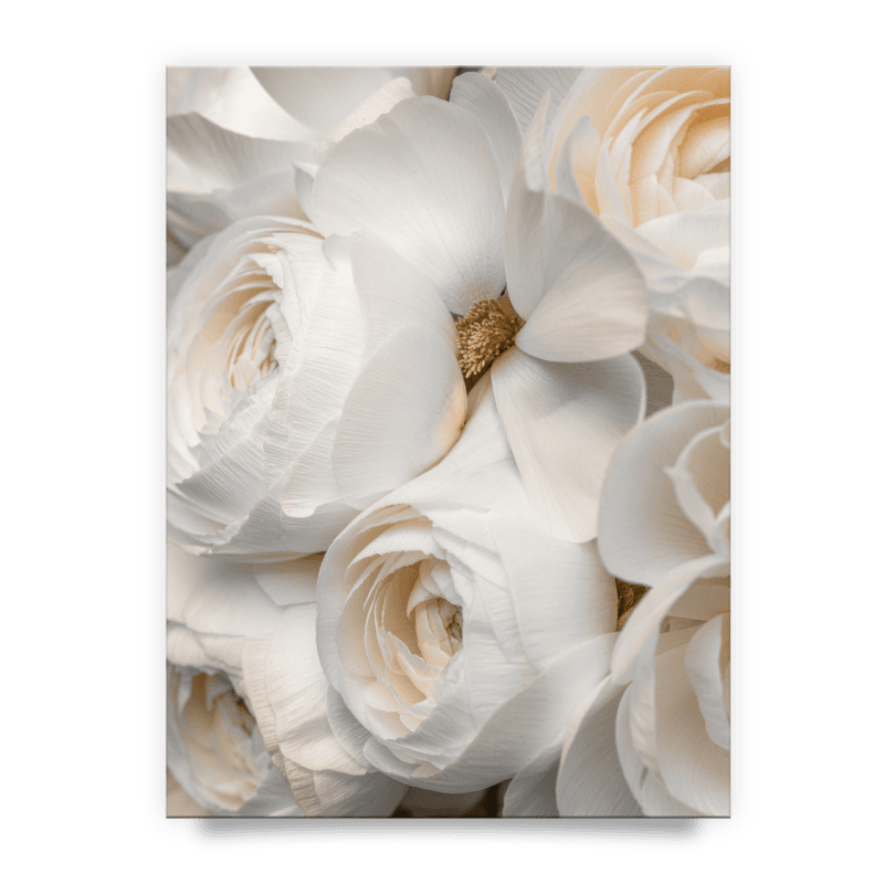 49cd43e492b90be110952f0a4dd9c883