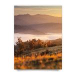 9328450dc73b1a31feeaa2bc117405f7