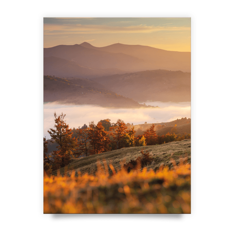 9328450dc73b1a31feeaa2bc117405f7