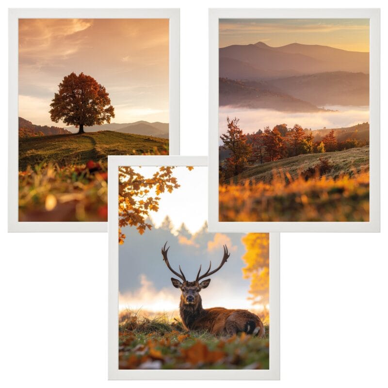 b5181de528f7e53c8eefe5b9d59e547e