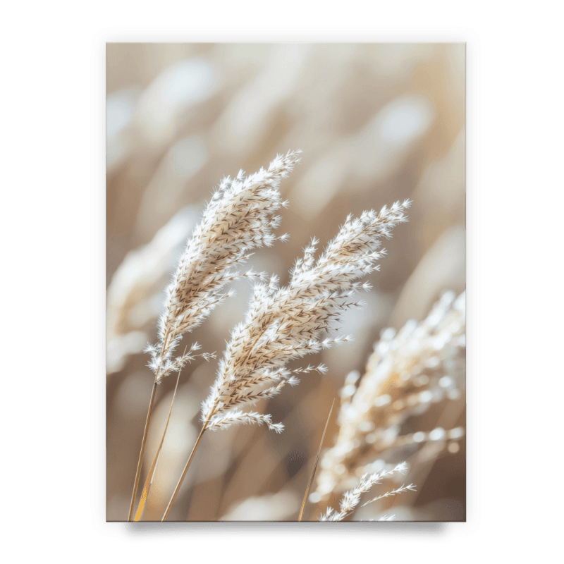 e299699f42daef00a233c67fe42da02e