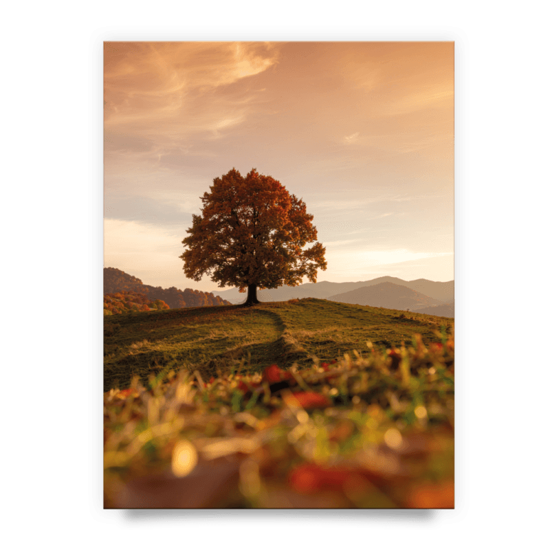 60e7fc5800f4829f3e39335a0376725c