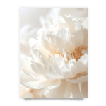 7ecce99314139295020e1bd115fe8250