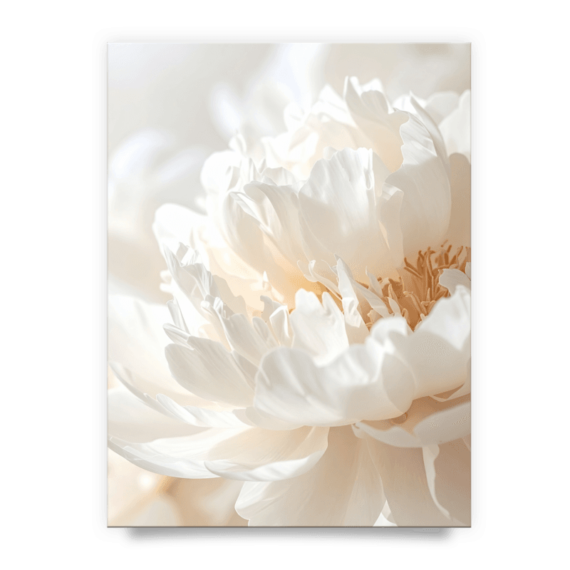 7ecce99314139295020e1bd115fe8250