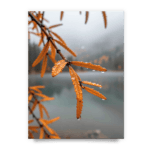 7663650be9008c62d9f1d3377fe63b20