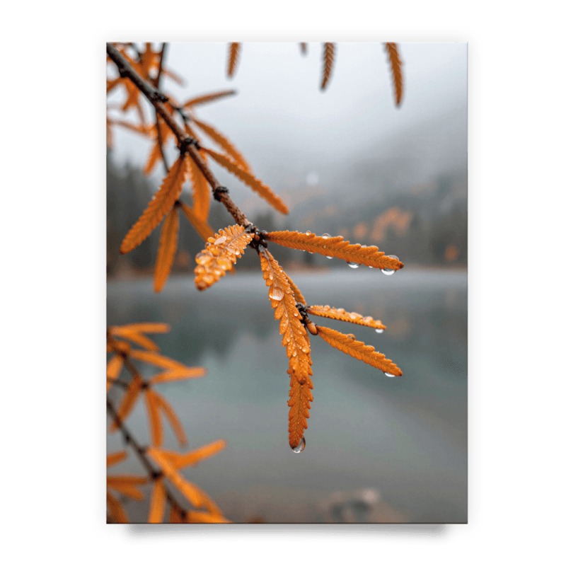 7663650be9008c62d9f1d3377fe63b20