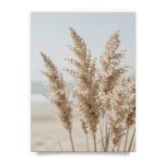 f292095727de91a41816757cb258354e