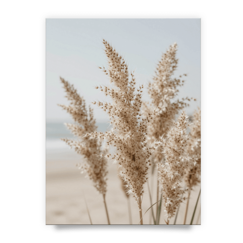 f292095727de91a41816757cb258354e