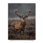 6cbc494bcbef6d83f714aa7264dbdc85