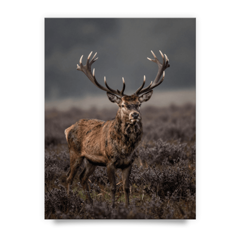 6cbc494bcbef6d83f714aa7264dbdc85