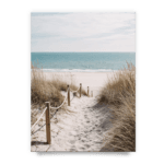 9ea2526ee6895b0ae11be1a715a07cfc