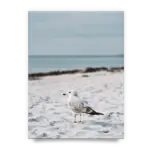 1ca59bcce27b3e4e7067fb239e955efe