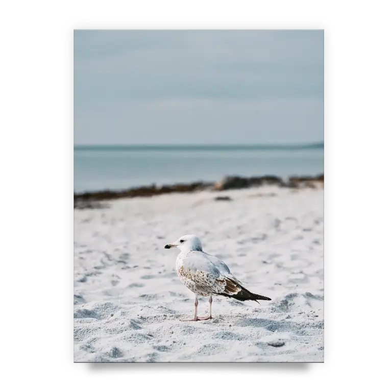 1ca59bcce27b3e4e7067fb239e955efe