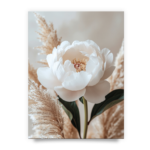 a44aa8cfe8bec41c288c4e2bef7800df