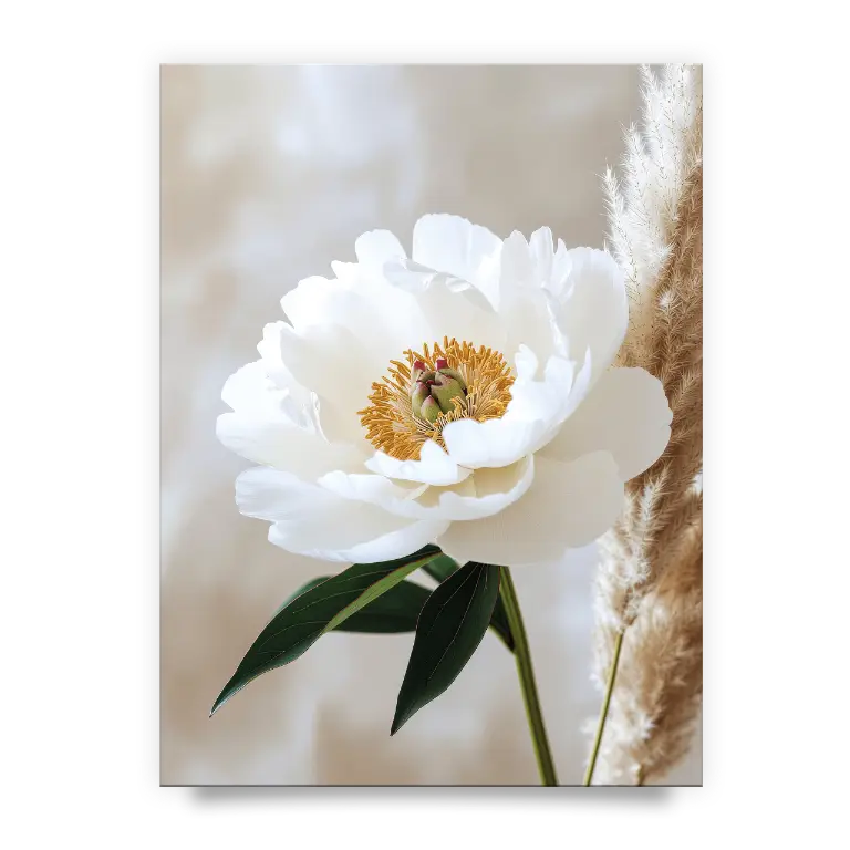 dcd556e671028704da9508afb874feea