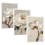 Zestaw 3 plakatów: Biała magnolia na gałęzi, Biała piwonia w pełnym rozkwicie, Jasna orchidea na smukłej łodydze