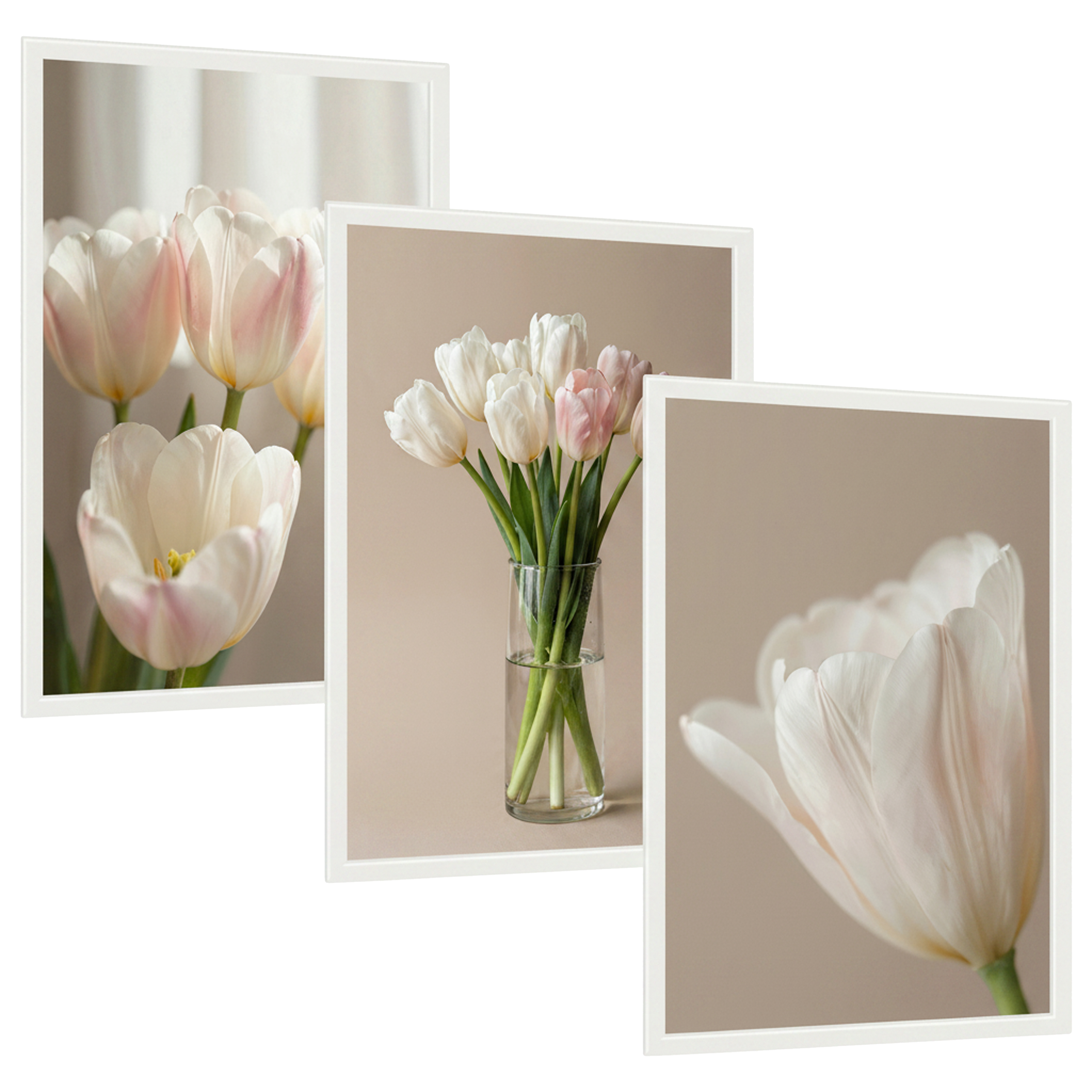 edf0cc56502ea9faa64c76a8cc3d56c8.jpg Zestaw 3 plakatów: Pastelowe tulipany w miękkim świetle, Bukiet tulipanów w szklanym wazonie, Jasny tulipan w zbliżeniu